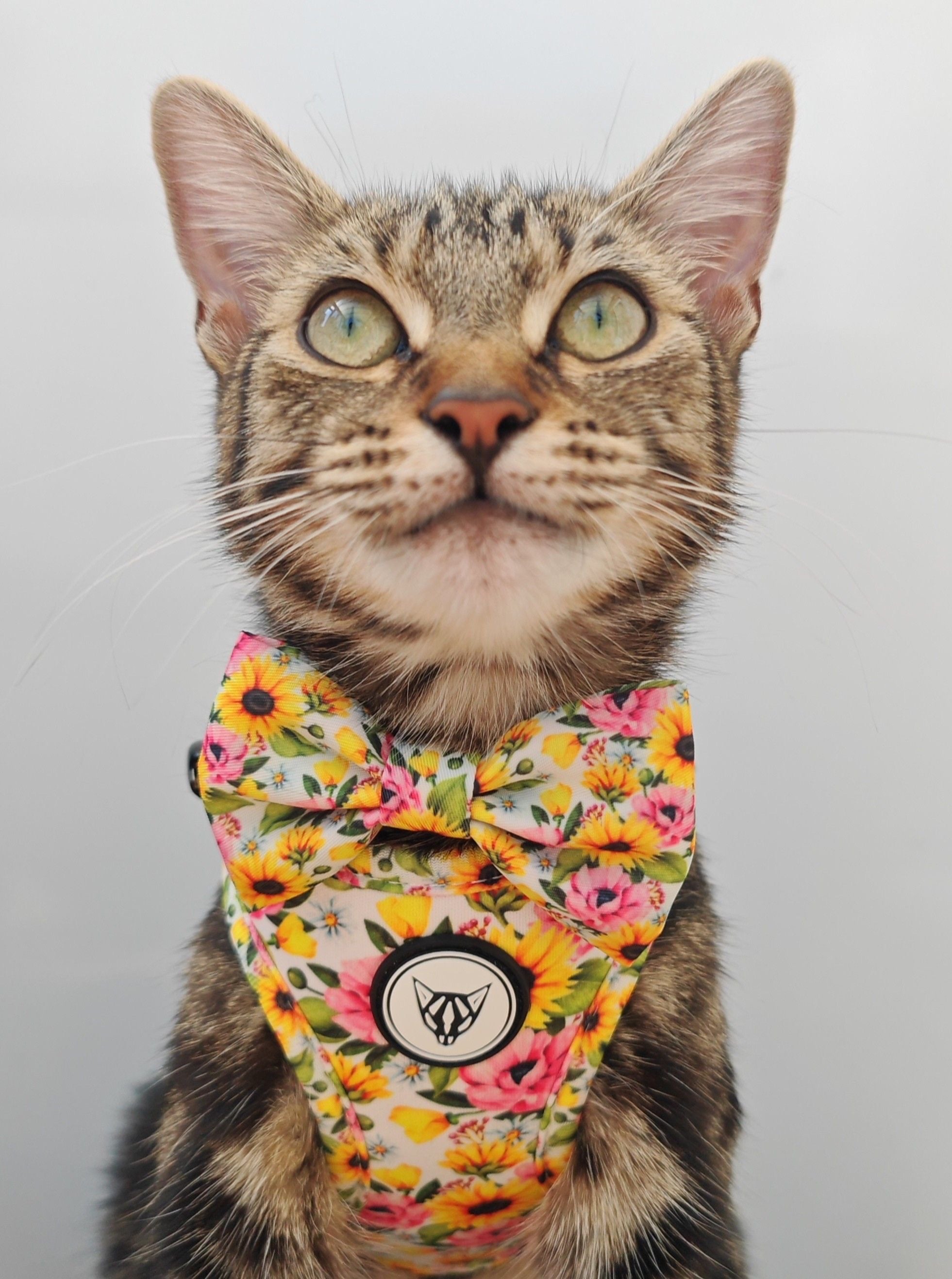 Purrflower Edition - Breakaway Cat Collar