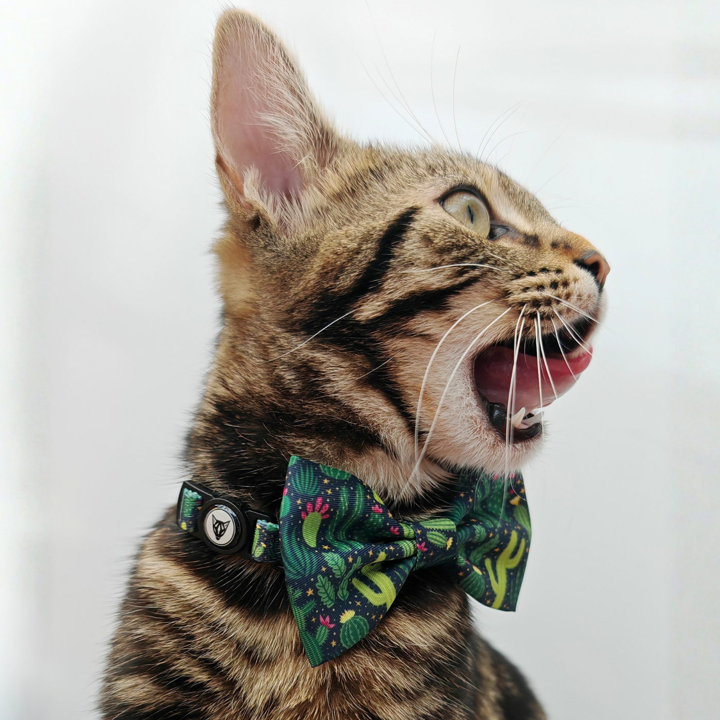 Cactus Edition - Breakaway Cat Collar