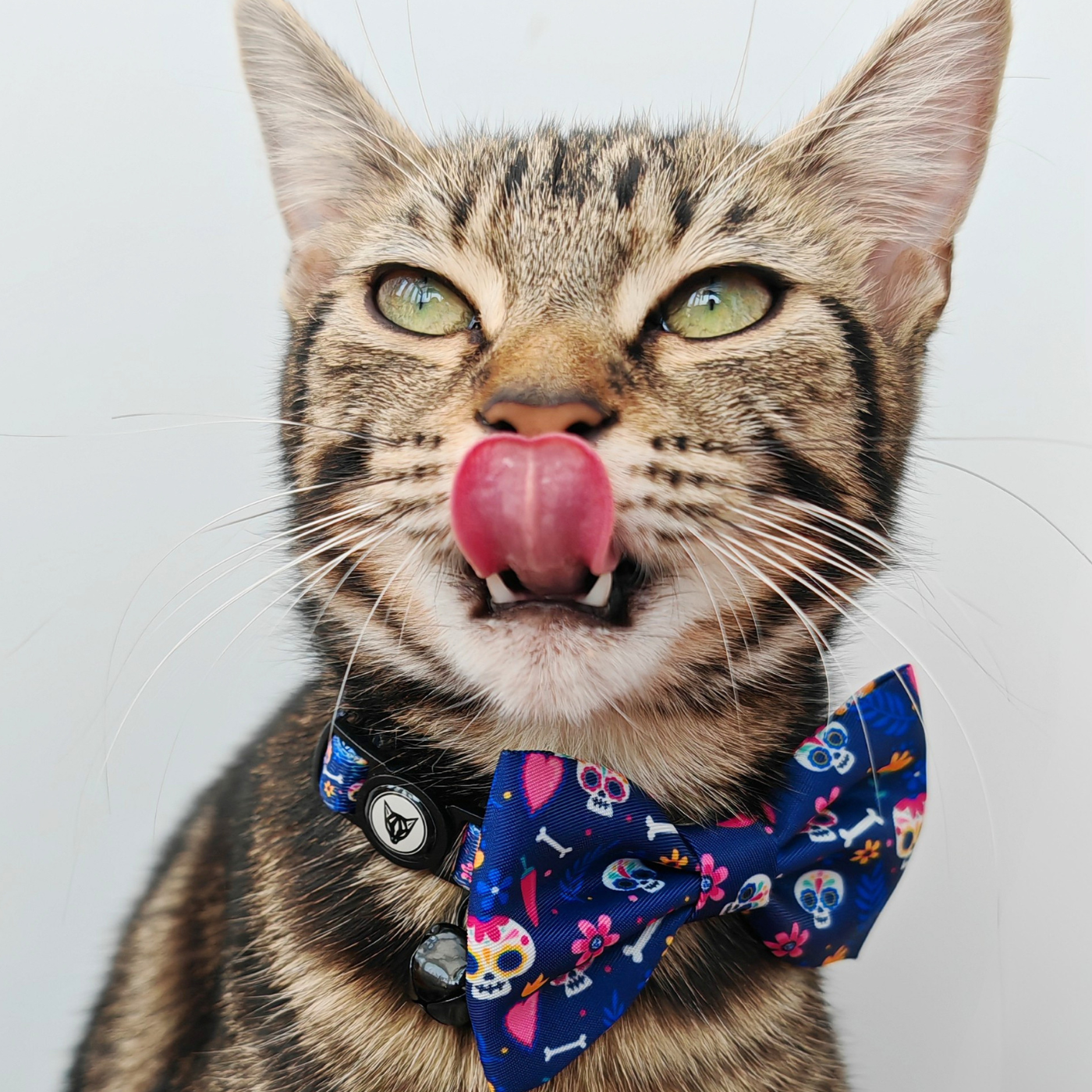 Skull & Bloom Edition - Breakaway Cat Collar