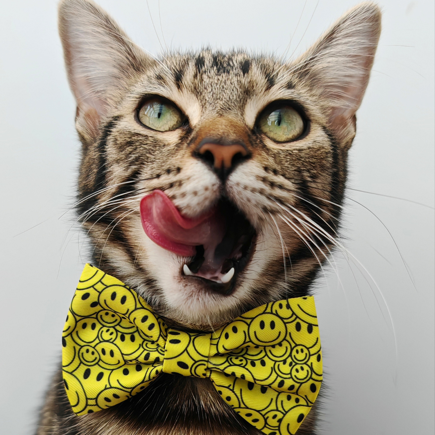 Smiley Paws Edition - Breakaway Cat Collar