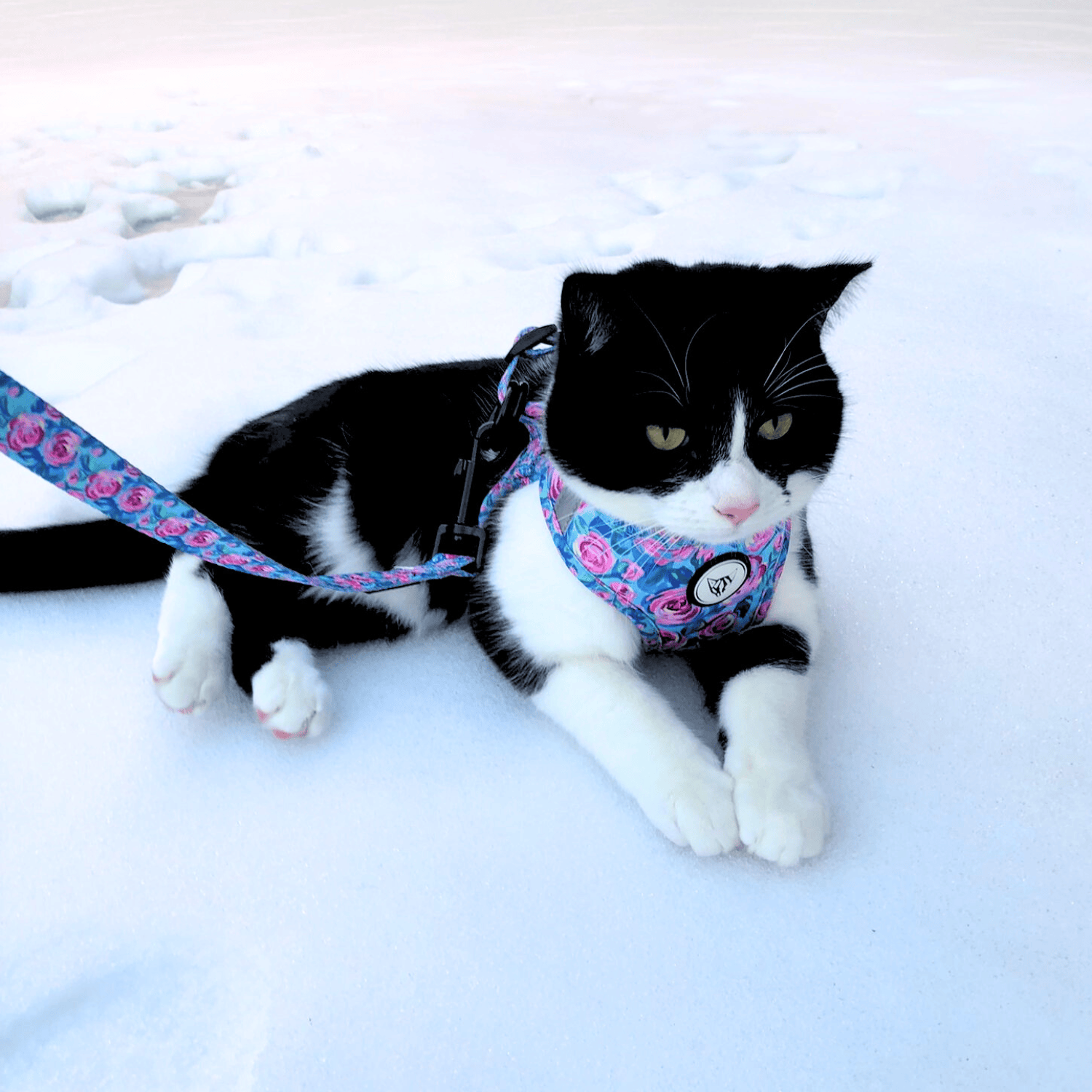 The Urban Kitty Classic Rose Edition - Step In Cat Harness