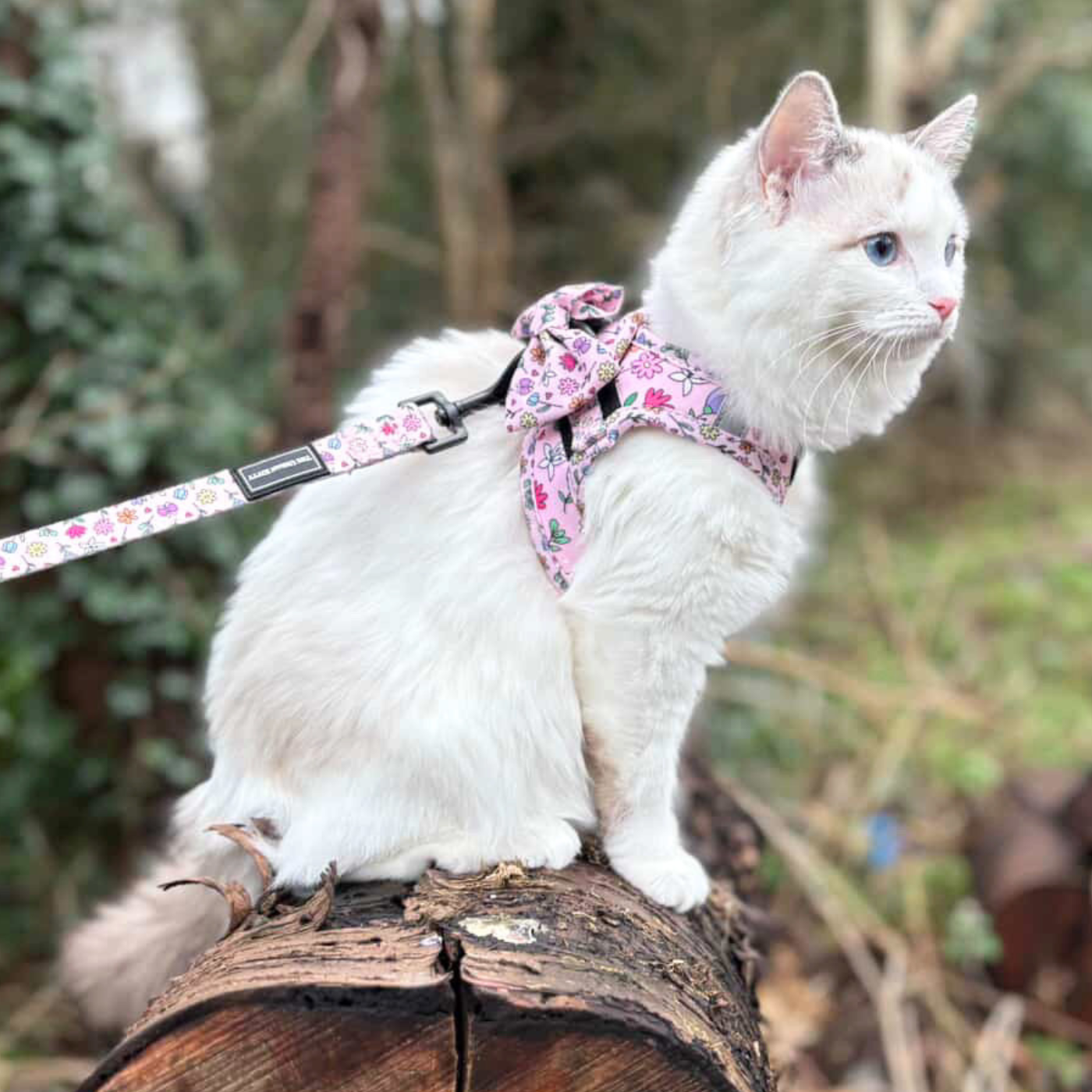 Petal & Print Edition - Step In Cat Harness