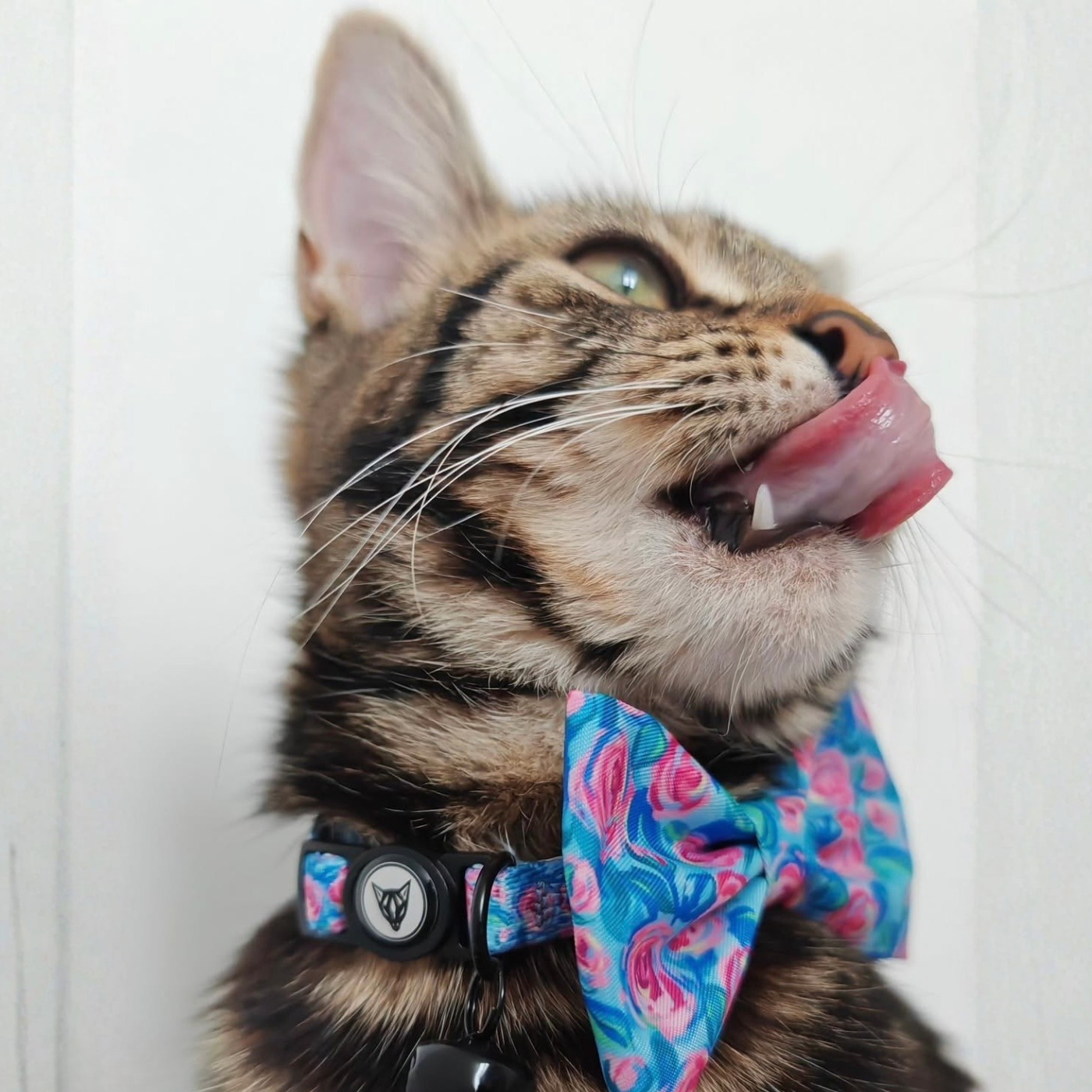 Classic Rose Edition - Breakaway Cat Collar