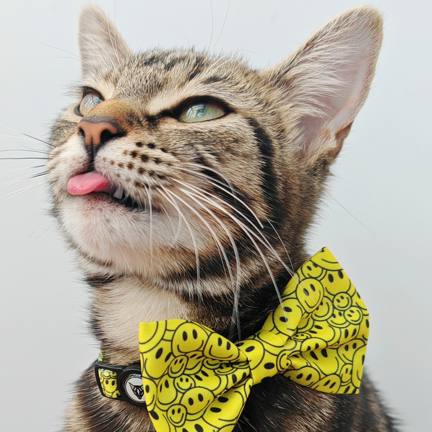 Smiley Paws Edition - Breakaway Cat Collar