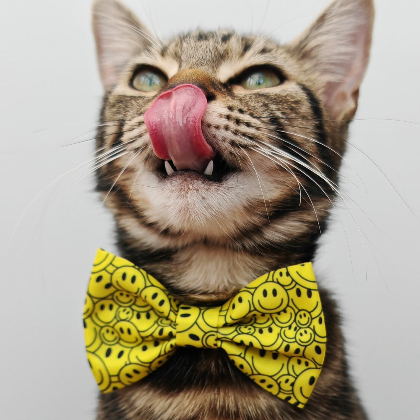 Smiley Paws Edition - Breakaway Cat Collar