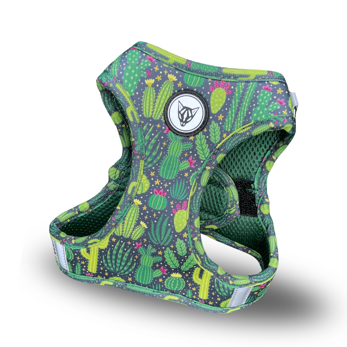 Cactus Edition - Ultimate Adventure Bundle