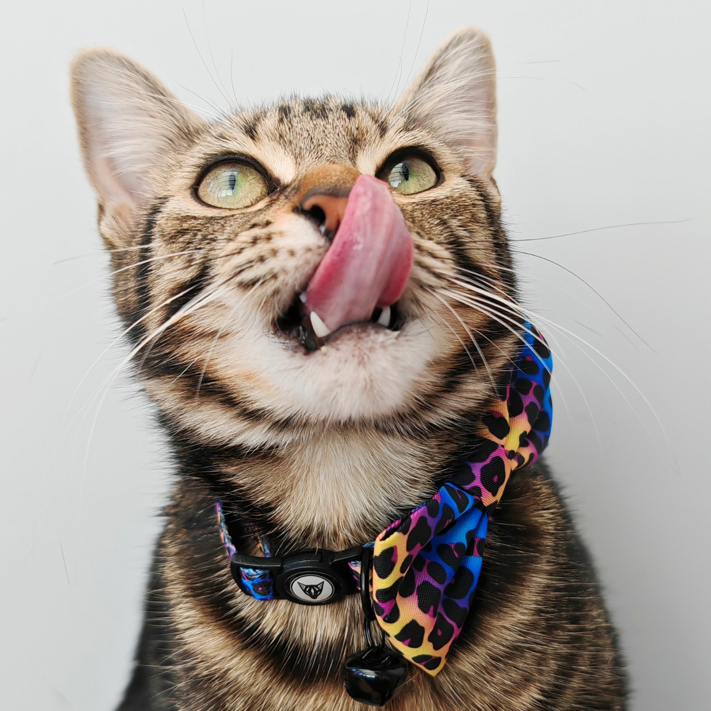 Wild Cat Edition - Breakaway Cat Collar