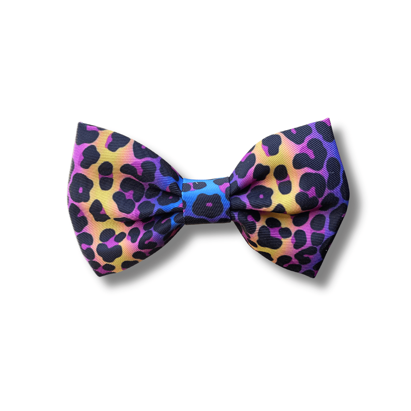 The Urban Kitty Wild Cat Edition - Breakaway Cat Collar