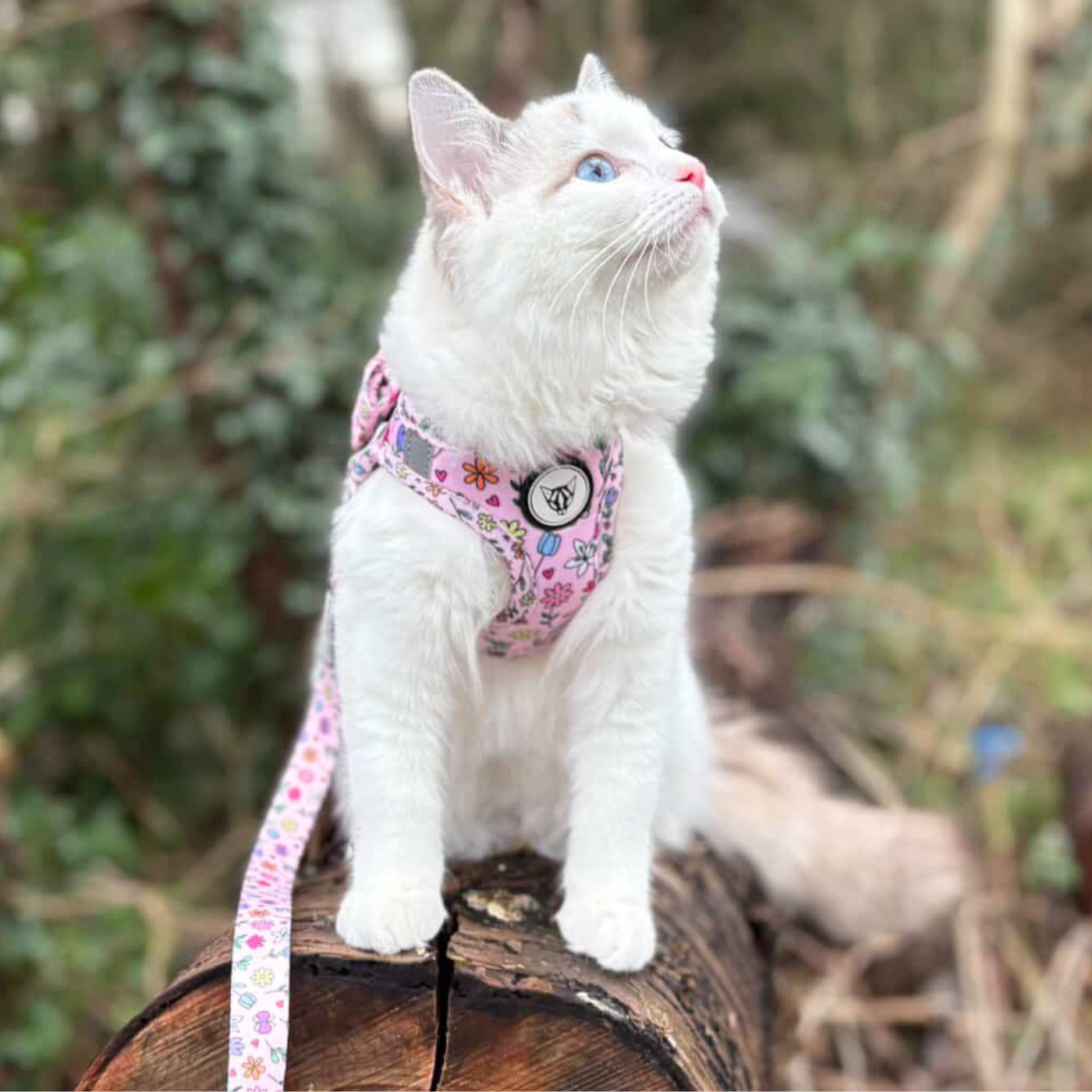 Petal & Print Edition - Step In Cat Harness