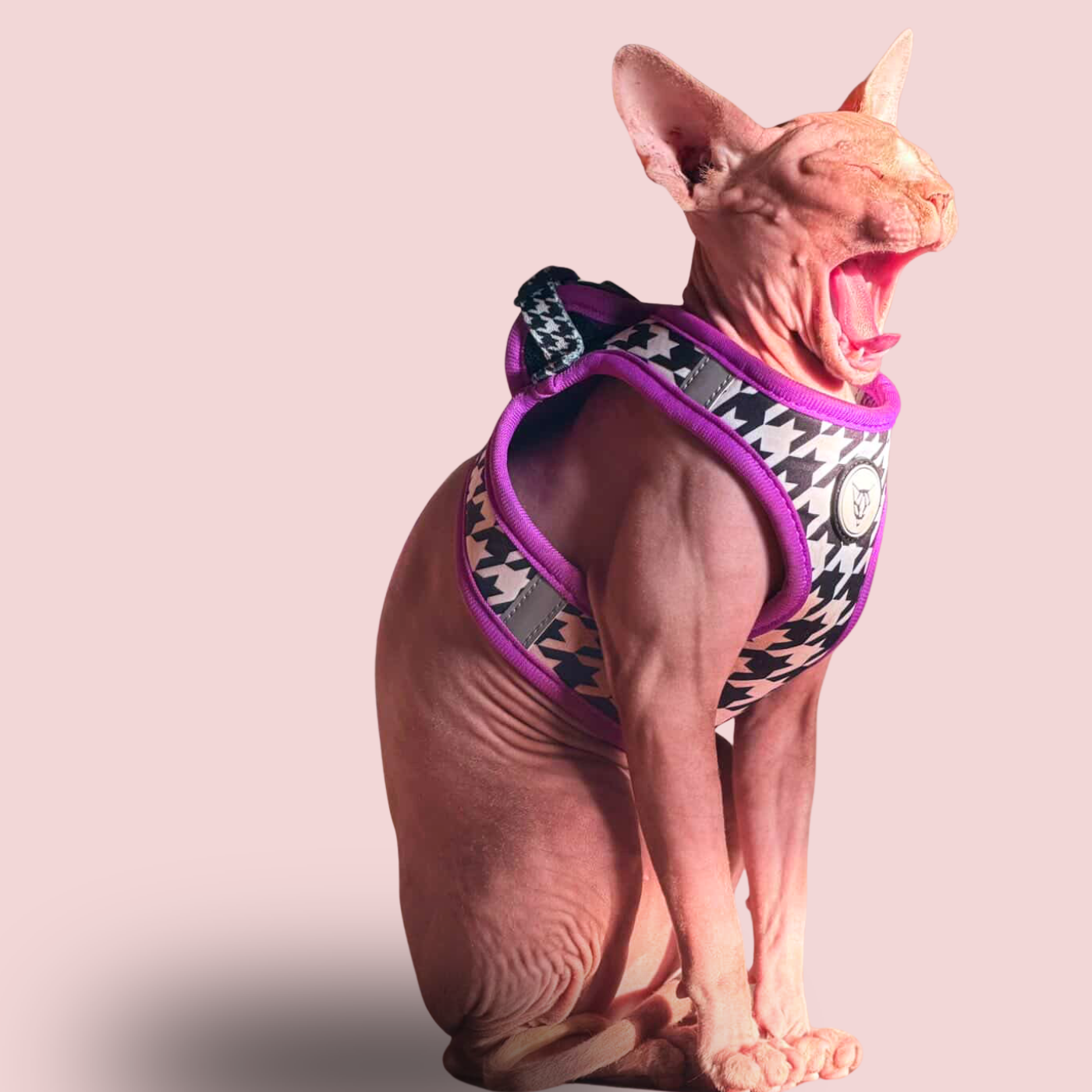 Tailored Tux Edition - Cat Harness Bundle