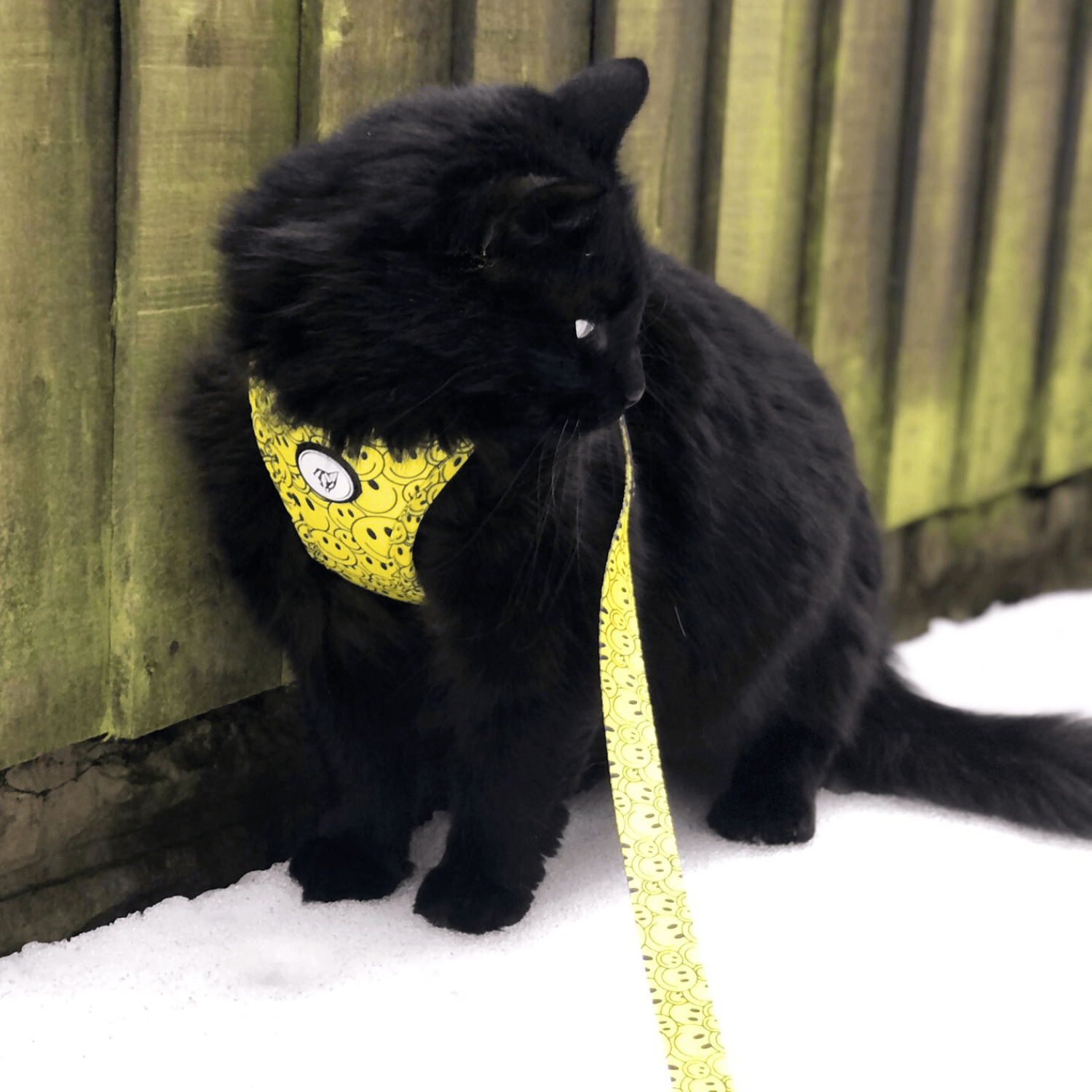 The Urban Kitty Smiley Cat Edition Cat Harness Bundle