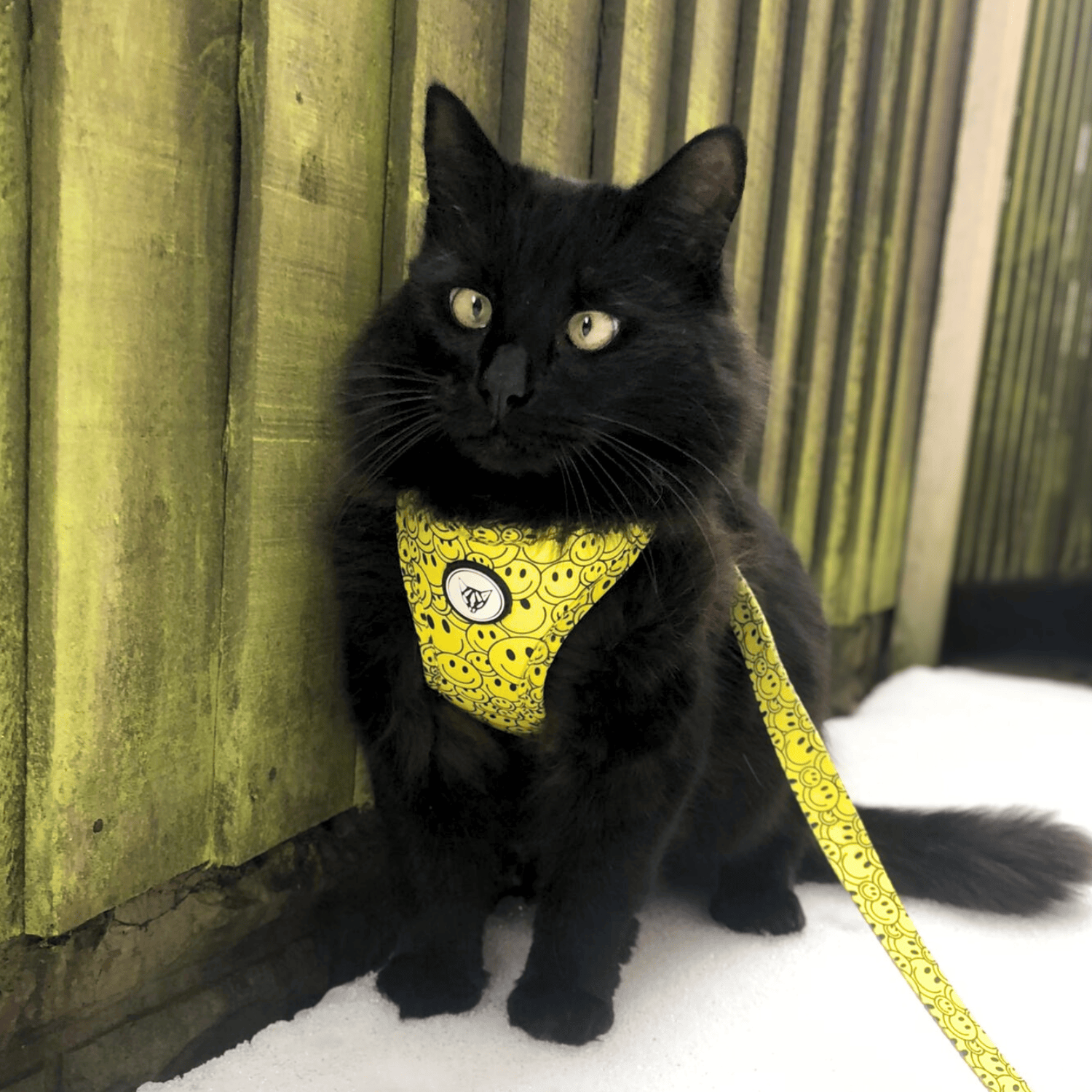 The Urban Kitty Smiley Paws Edition - Step In Cat Harness