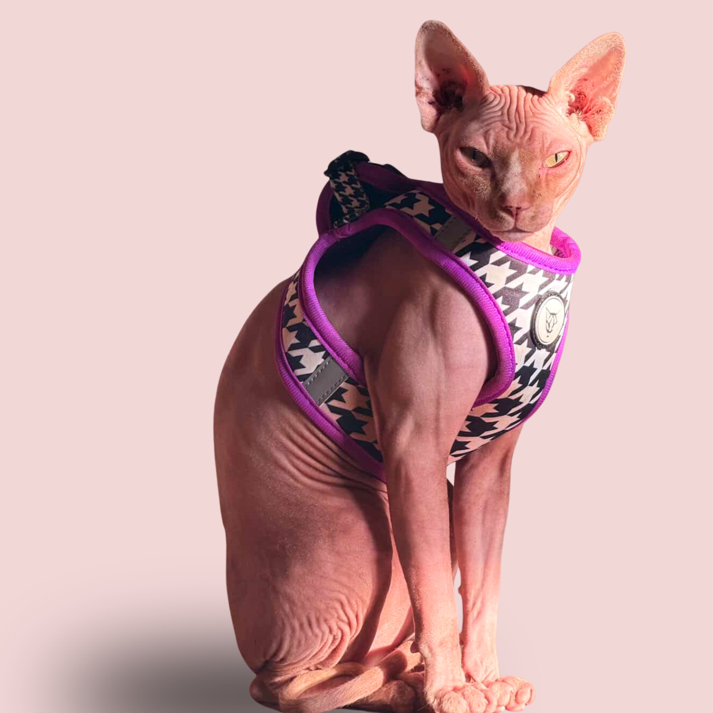 Tailored Tux Edition - Cat Harness Bundle