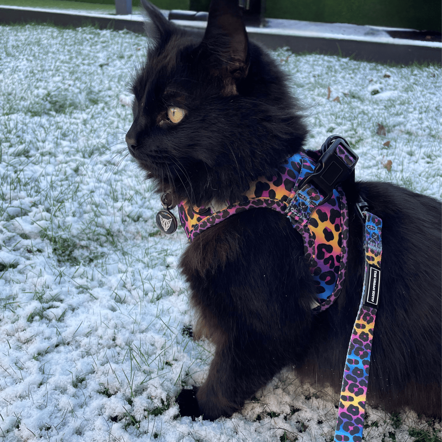 The Urban Kitty Wild Cat Edition - Step In Cat Harness